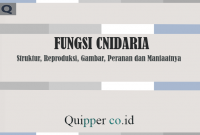 Fungsi Cnidaria - Struktur, Reproduksi, Gambar, Peranan, Manfaat