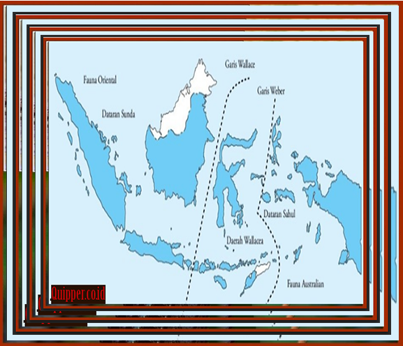 Peta Persebaran Fauna di Indonesia Menurut Weber