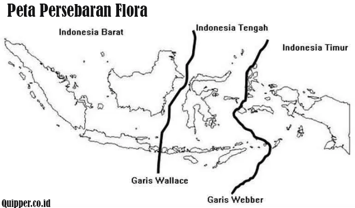 Persebaran Flora di Indonesia Menurut Wallace dan Webber 
