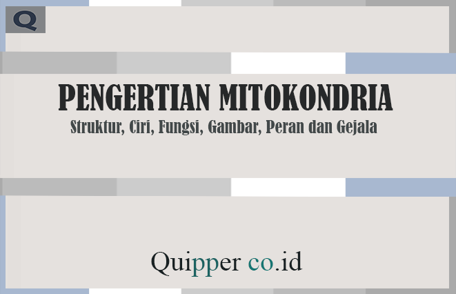 Pengertian Mitokondria