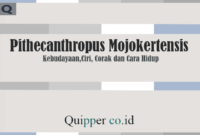 Pithecanthropus Mojokertensis