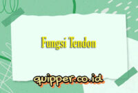 Fungsi Tendon