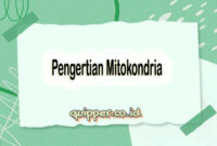 Pengertian Mitokondria