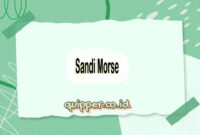 Sandi Morse