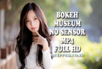 Bokeh Museum No Sensor Mp4 Video
