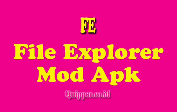 FE File Explorer Mod Apk
