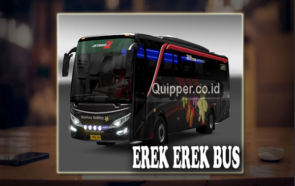 Erek Erek Bus 2D 3D 4D