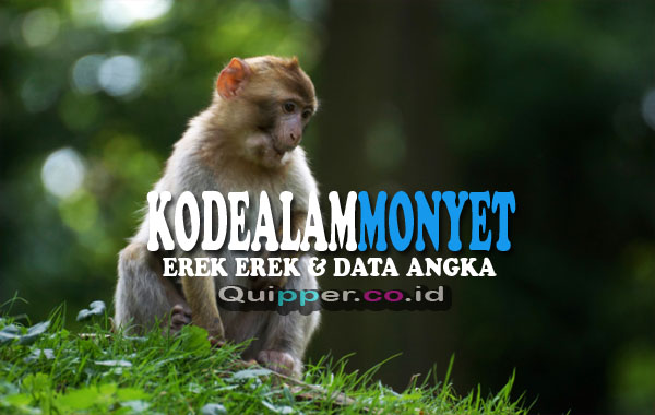 Kode Alam Monyet 2D 3D 4D Menurut Primbon Dan Erek Erek