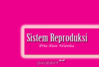 Sistem Reproduksi Manusia Pria dan Wanita Beserta Fungsinya