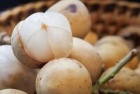 Kode Alam Buah Duku