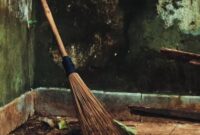 Erek Erek Diberi Sapu Lidi Erek Erek Diberi Sapu Lidi