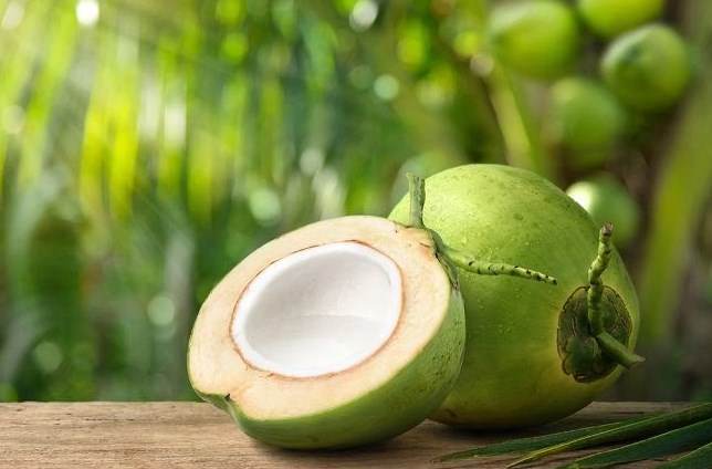 Kode Alam Kelapa