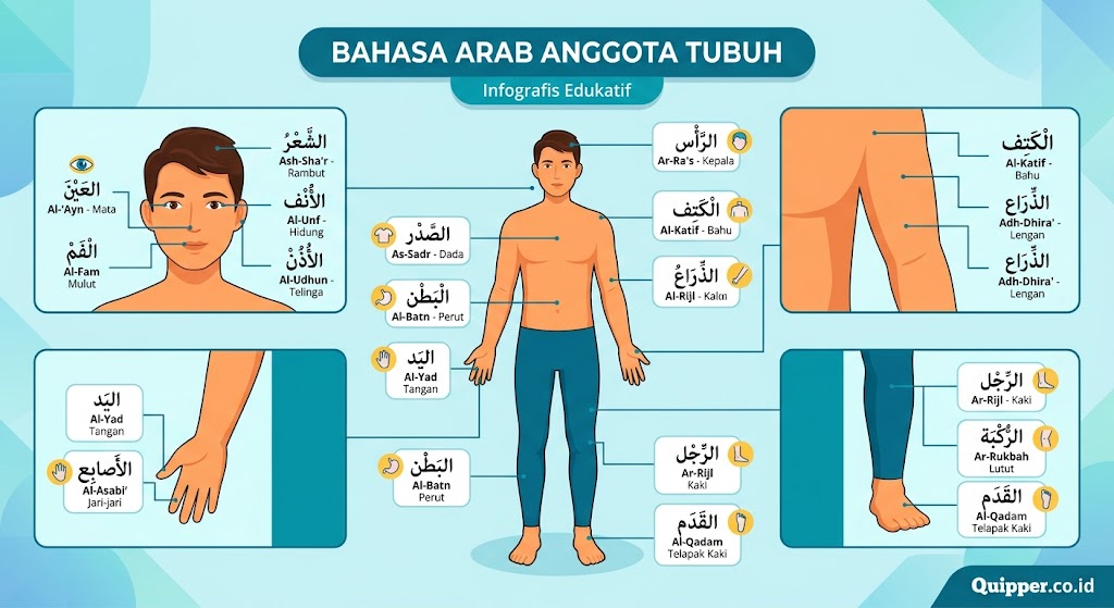 Bahasa Arab Anggota Tubuh